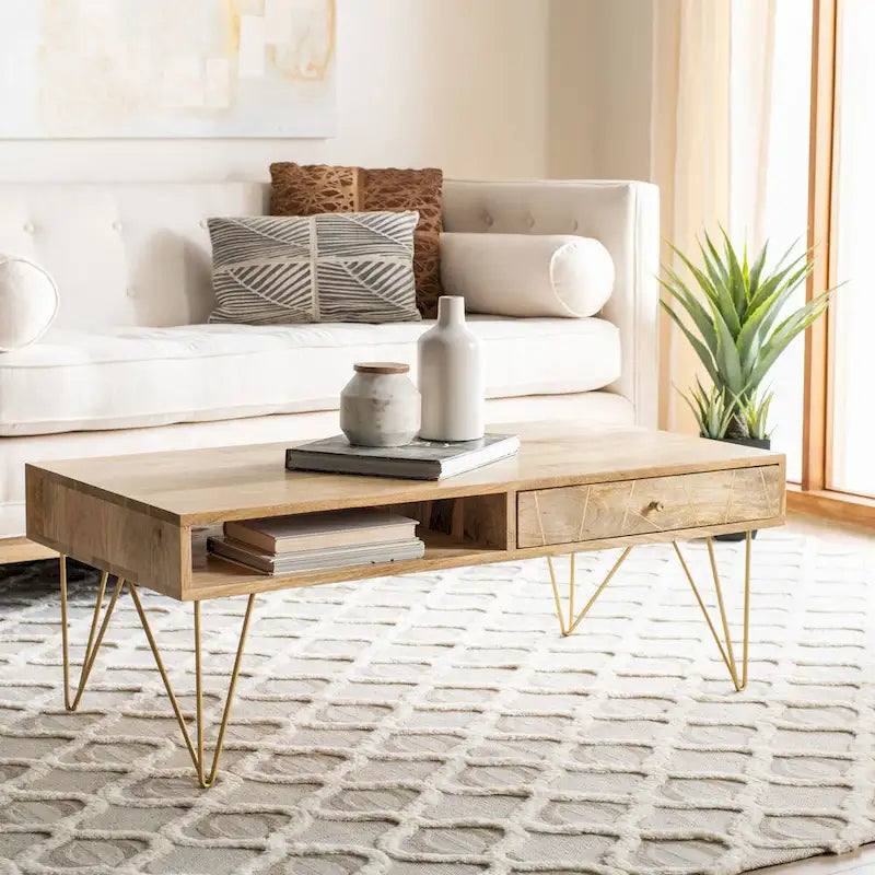 Living Room Coffee Table with 1 Drawer & 1 Shelf – Modern Storage